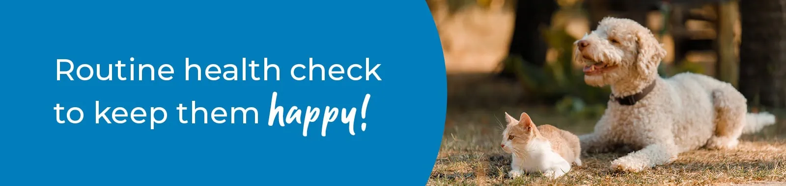 Pet Health Check in West Yorkshire | Preventative Vet Care