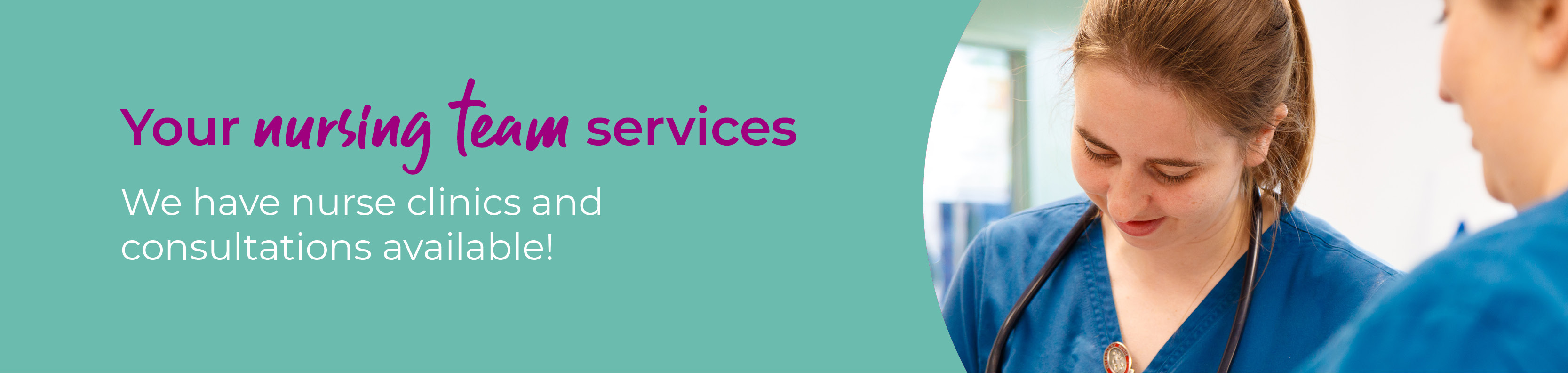 Veterinary Nurse Clinics