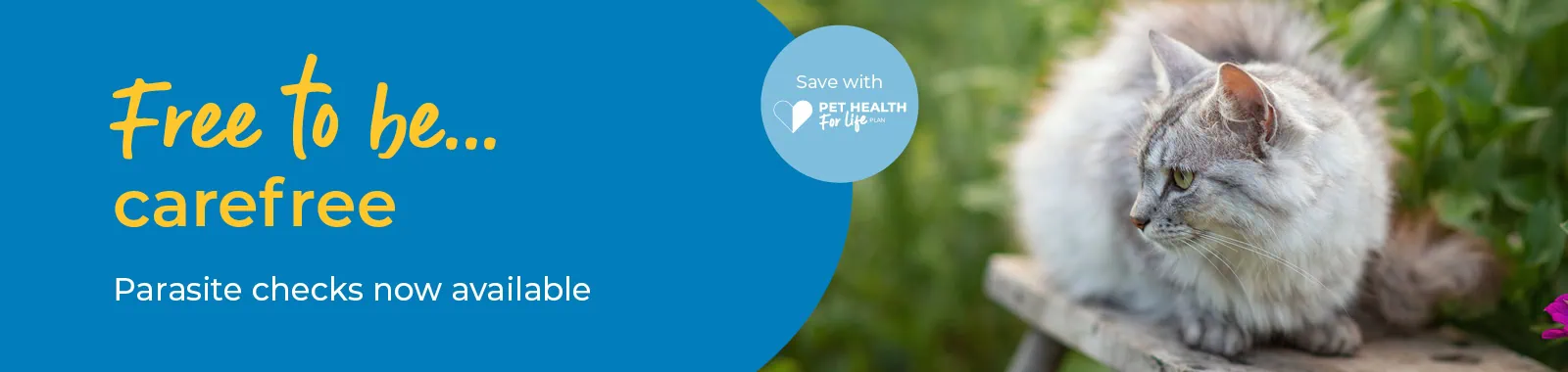 Dog Flea, Worm and Tick Treatment