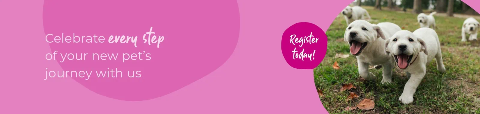 Welcoming your new puppy or kitten