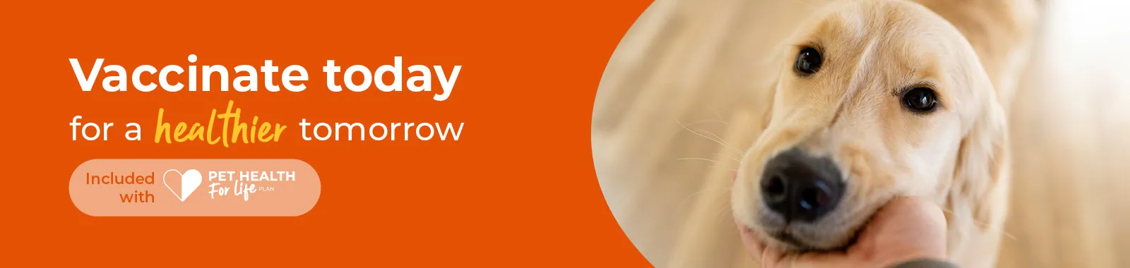 Vaccinations in West Yorkshire | Abbey House Veterinary Hospital