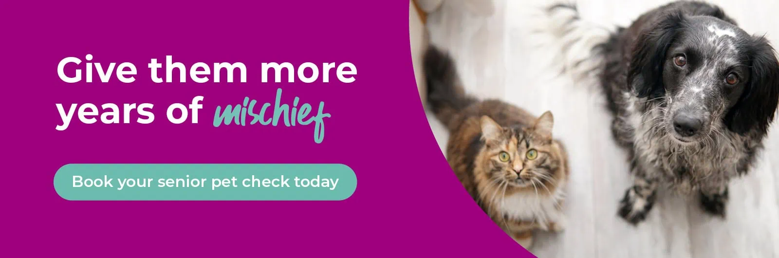 Abbey House Veterinary Hospital with 6 vet practices in Leeds