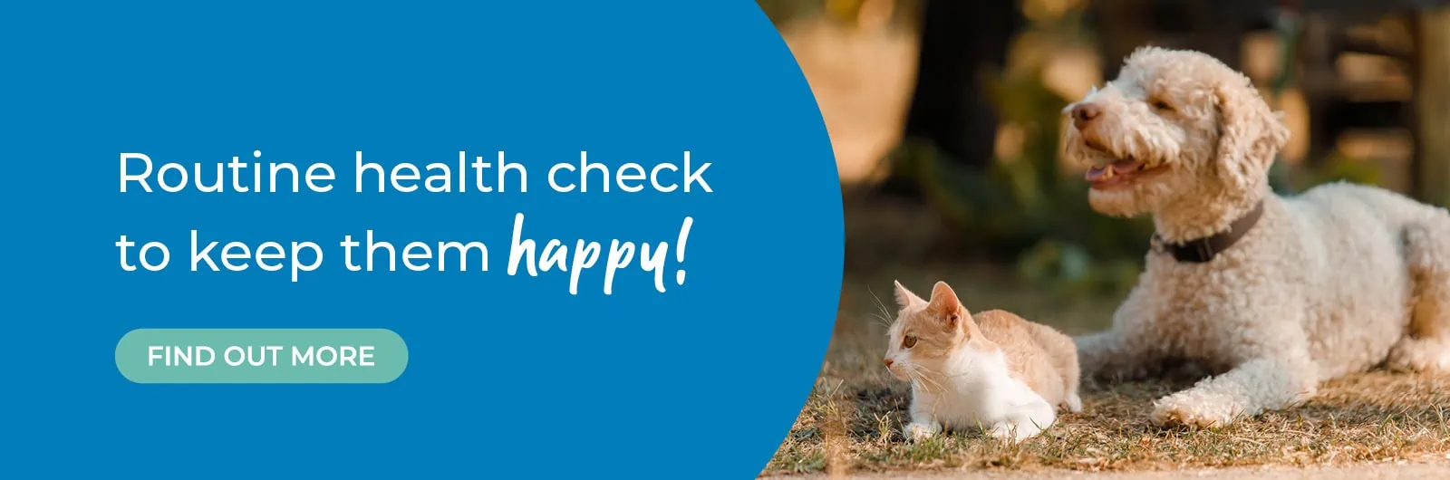 Abbey House Veterinary Hospital with 6 vet practices in Leeds