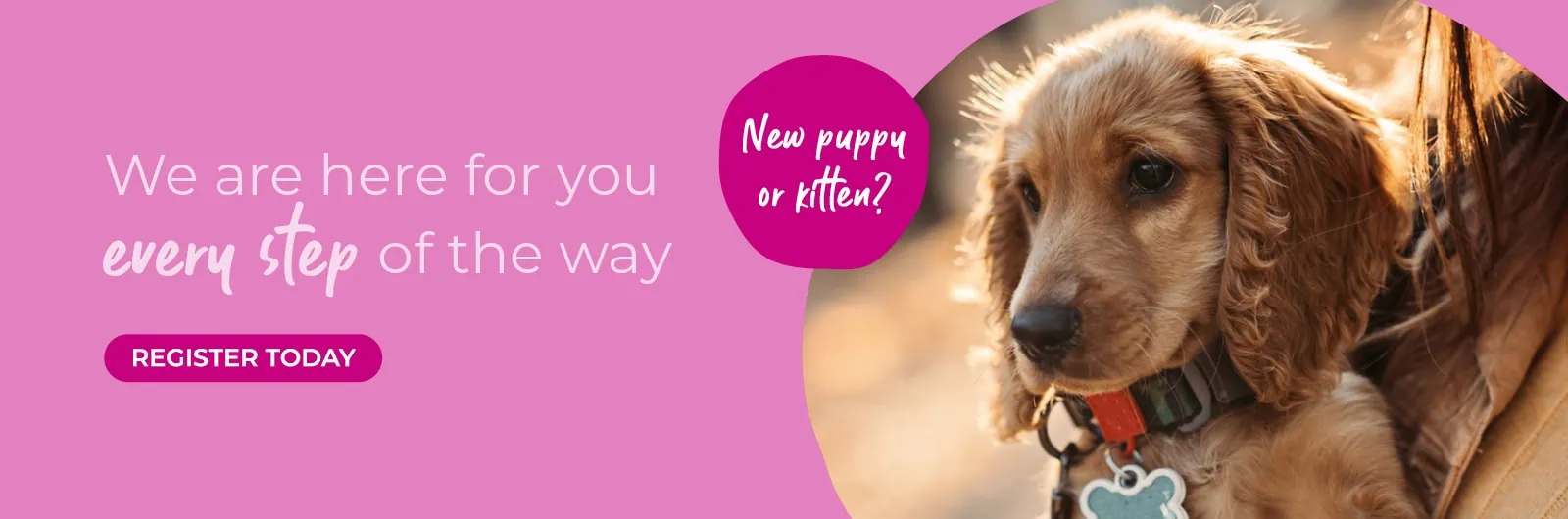 Abbey House Veterinary Hospital with 6 vet practices in Leeds